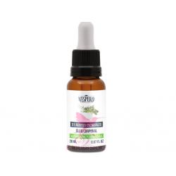 31 ACEITES ESENCIALES 20ml