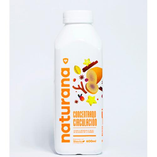 CONCENTRADO DE CIRCULACIÓN
